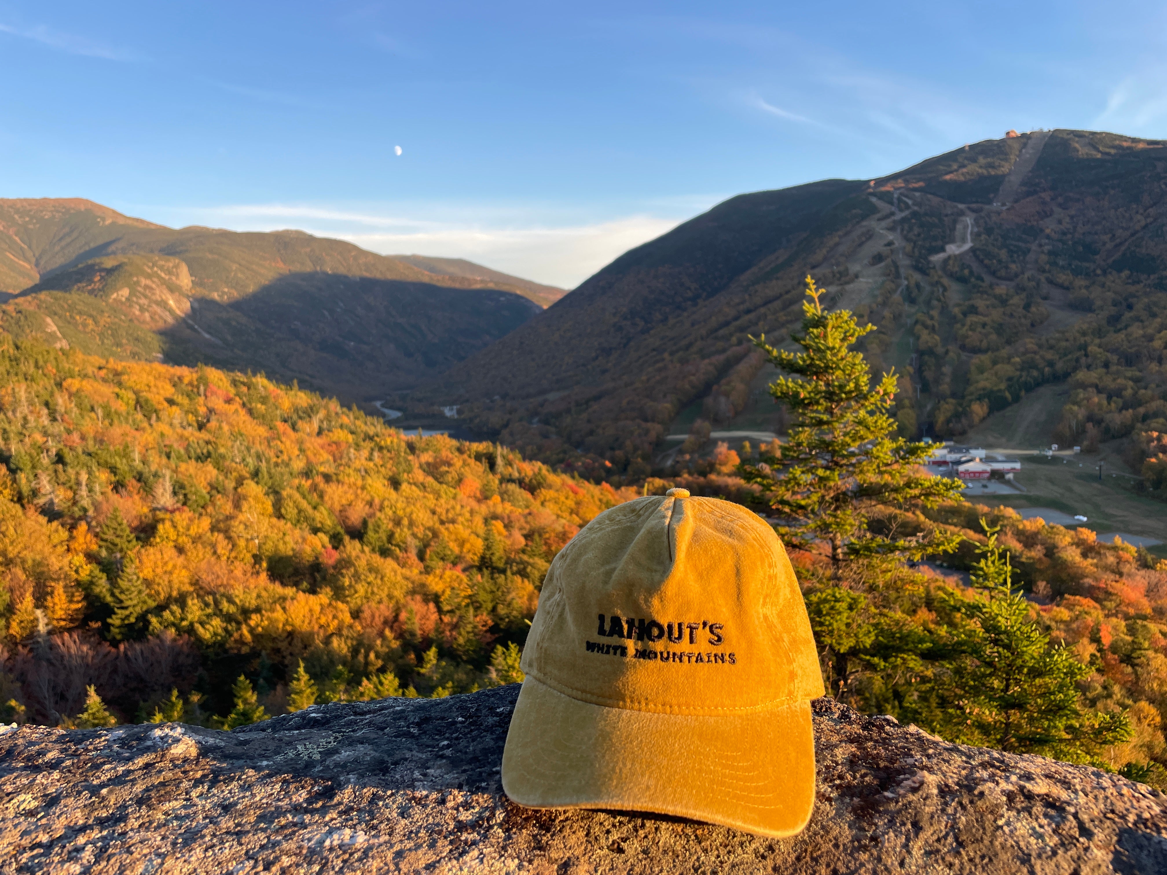 The Camp - Washed Mustard